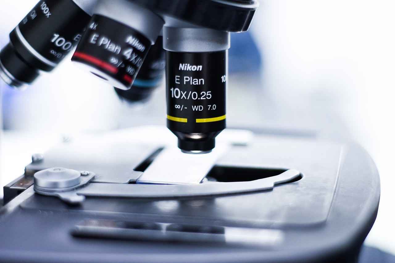 Hamilelik Testi Nedir?