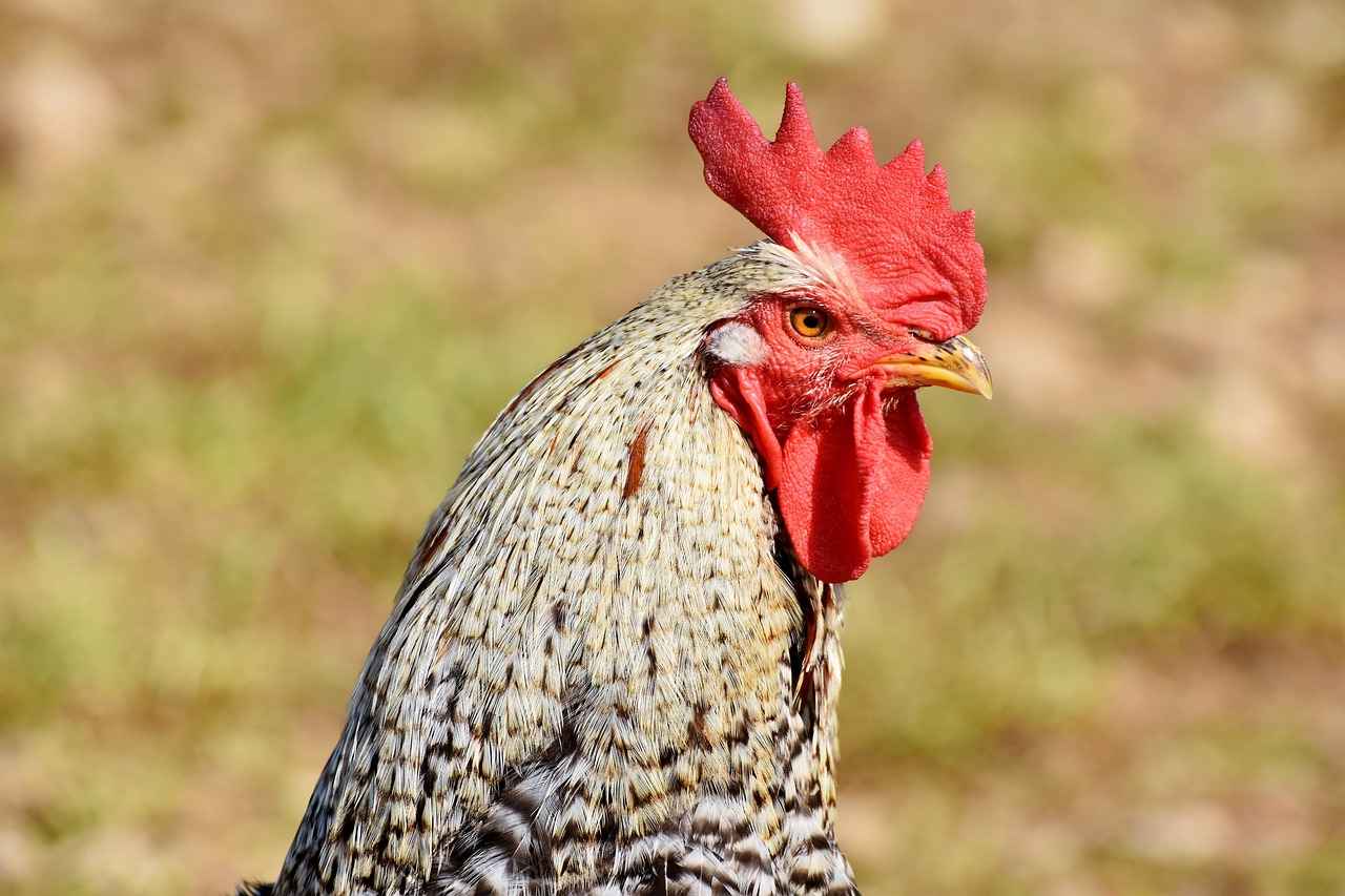 Sonuç ve Öneriler