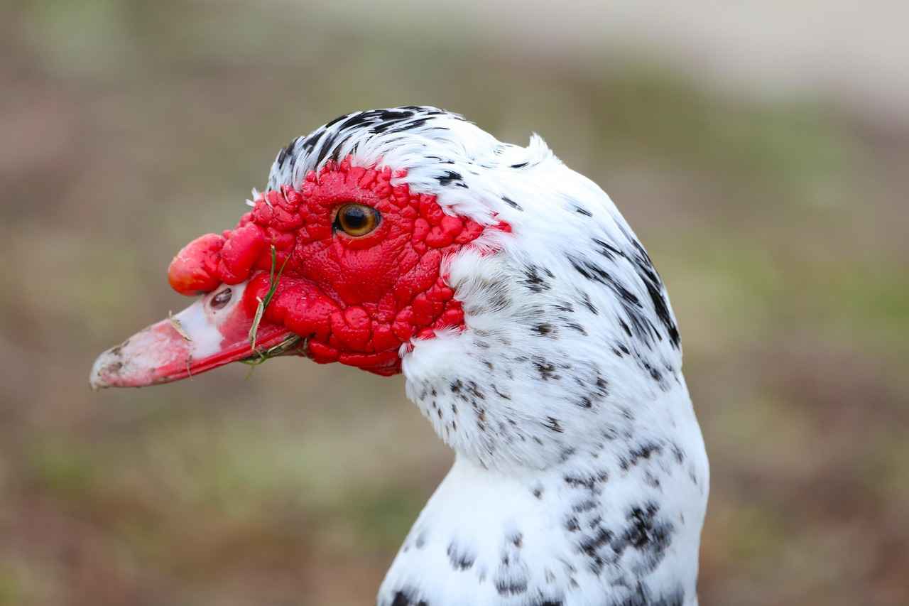 Hamilelik Belirtileri Nelerdir?